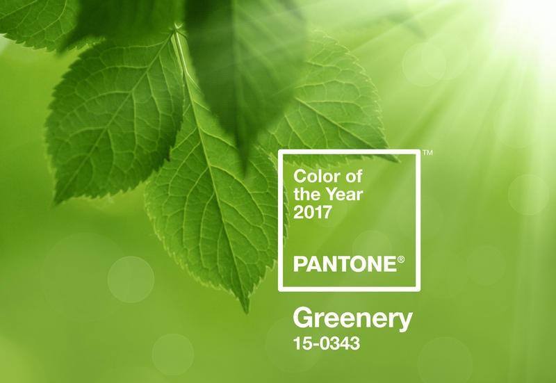 สีเขียว Greenery