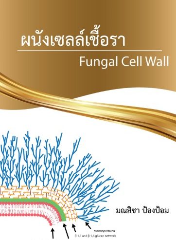 03BK0161A0034A
