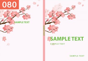 book-cover-080                             