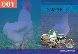 P-Veterinary-Medicine-1 