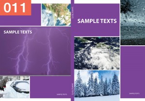 P-Weather-the-Environment-11  