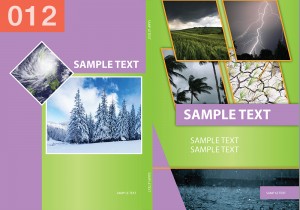 P-Weather-the-Environment-12  