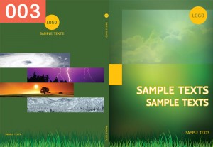 P-Weather-the-Environment-3  