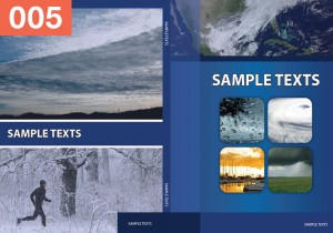 P-Weather-the-Environment-5  